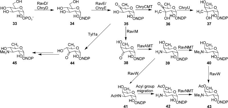 Scheme 3