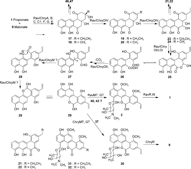 Scheme 2