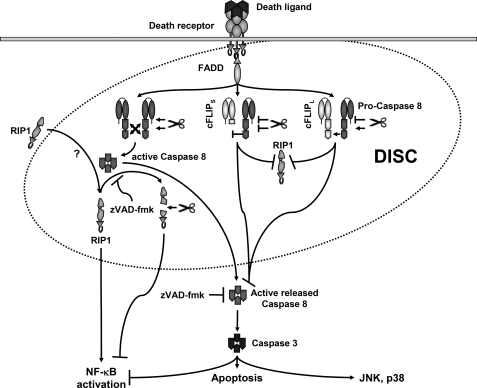 FIGURE 9.