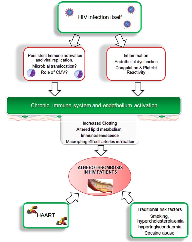 Figure 3