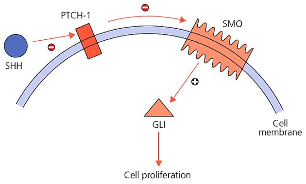 Figure 1.