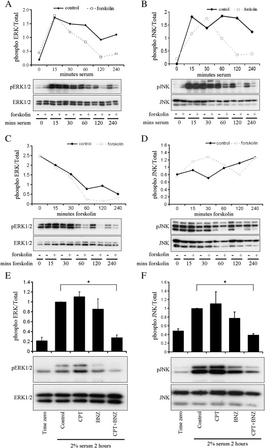 Fig. 7