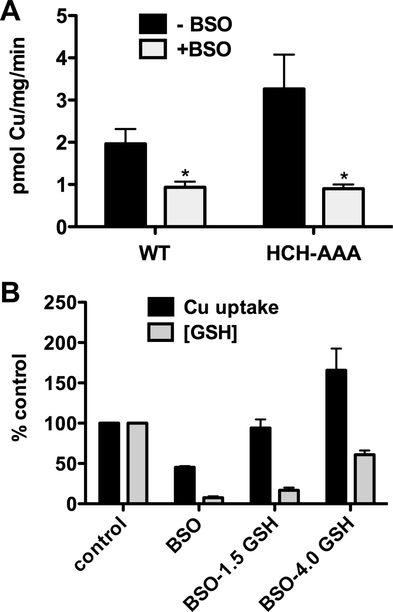 Fig. 9.