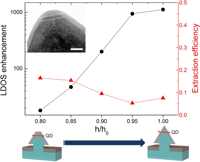 Fig. 4.