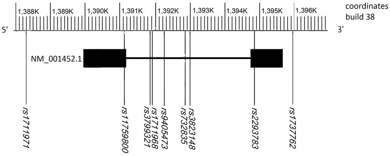 Fig. 1