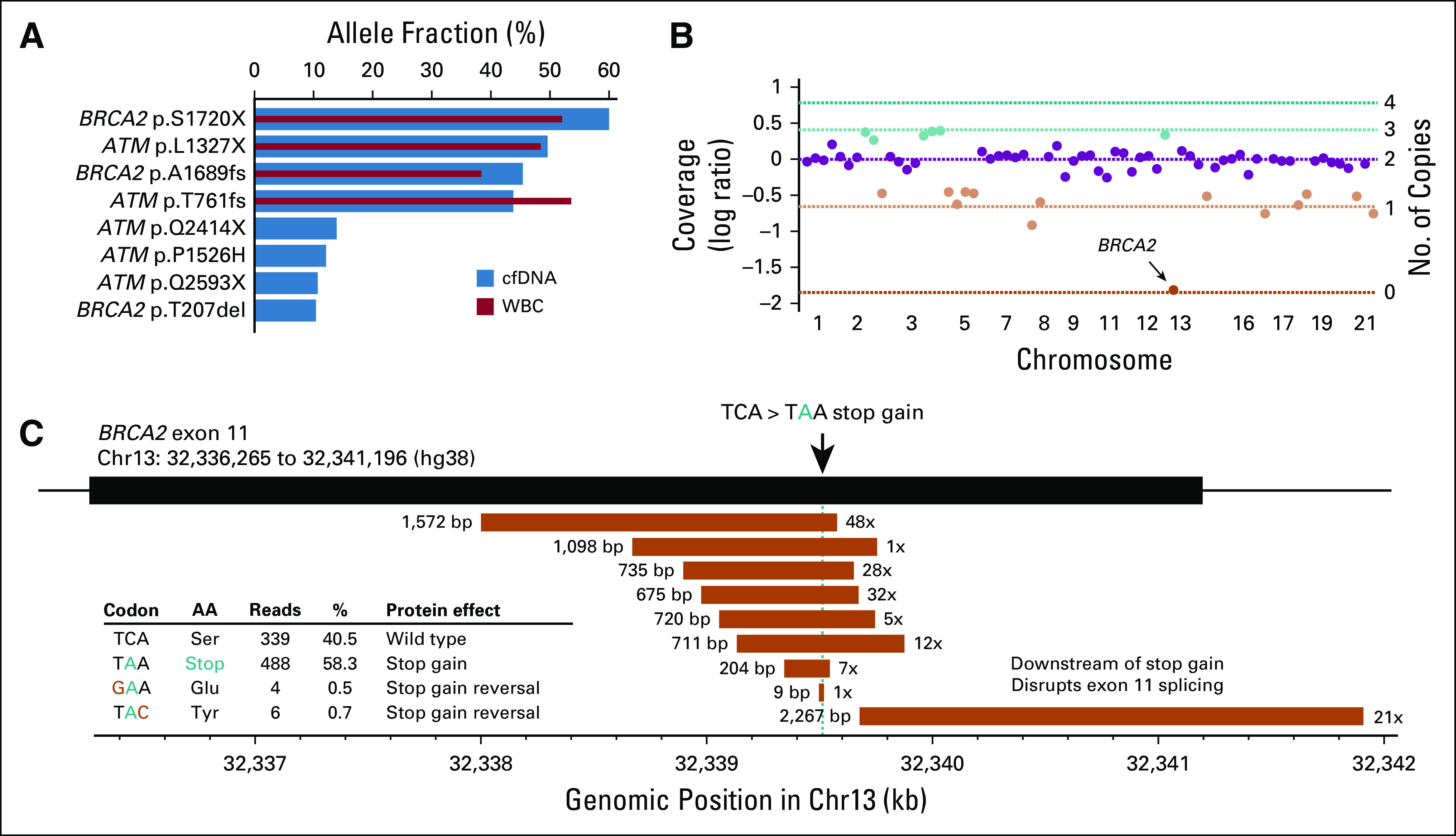 FIG 3.