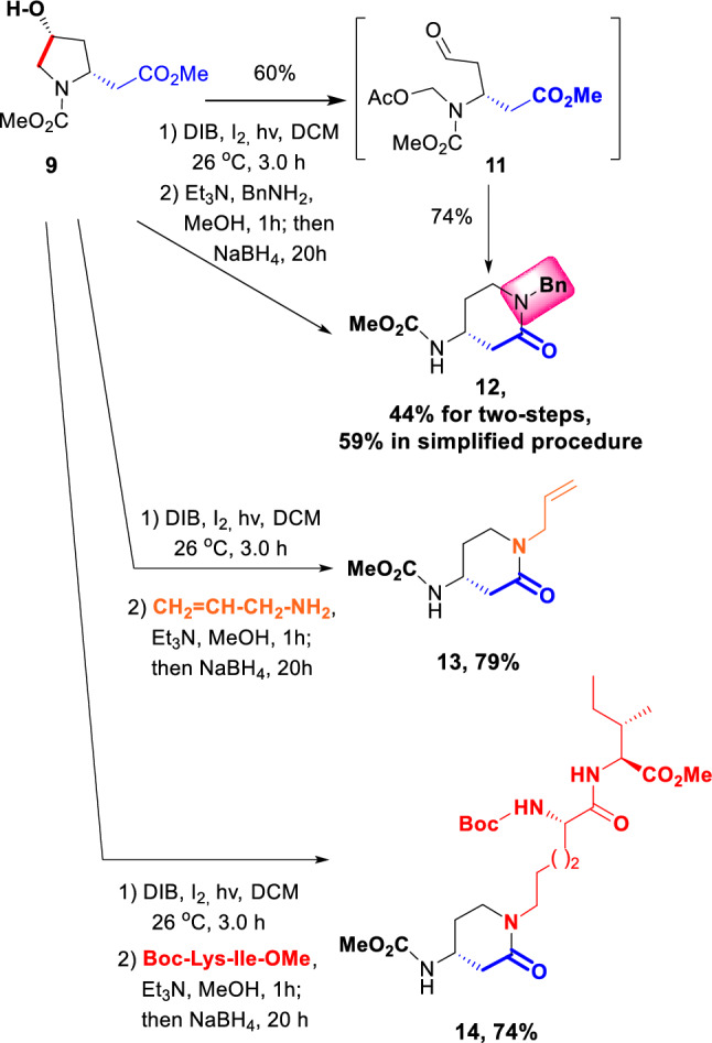Scheme 3