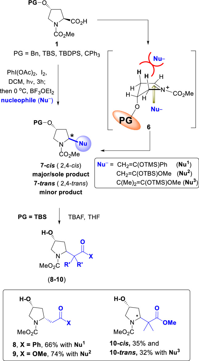 Scheme 2