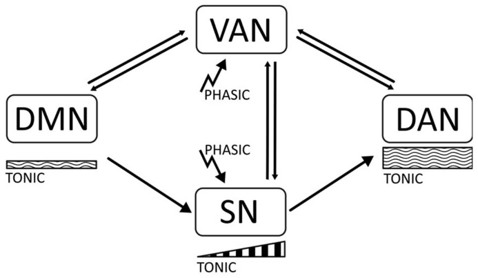 FIGURE 1