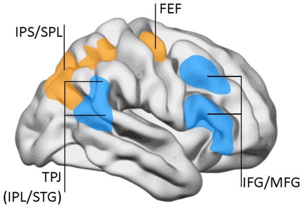 FIGURE 3