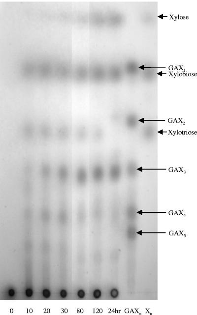 FIG. 7.