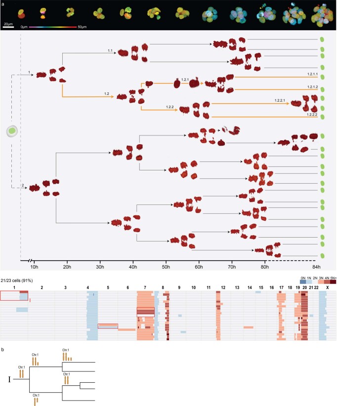 Extended Data Fig. 6