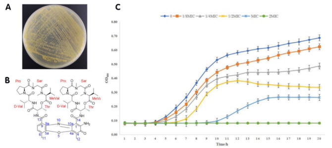 Figure 1