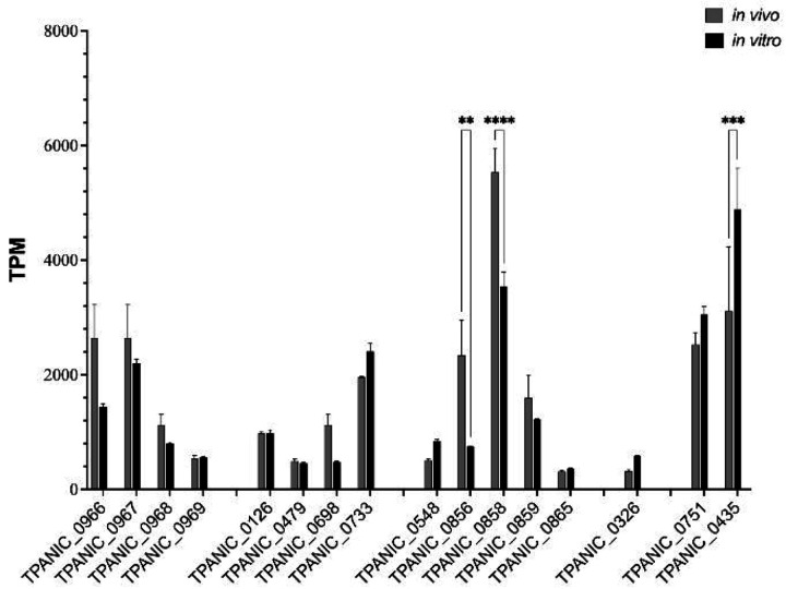 Fig 10.