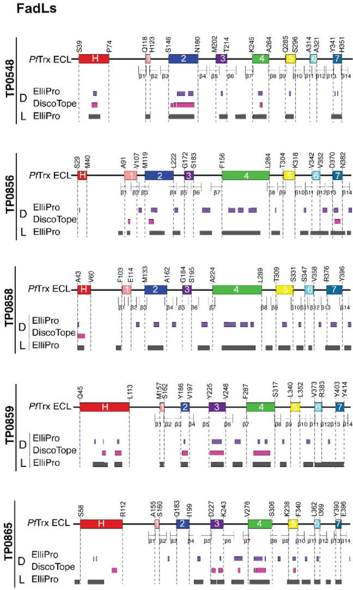 Fig 3.