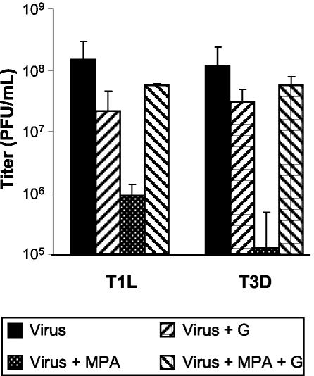 FIG. 5.