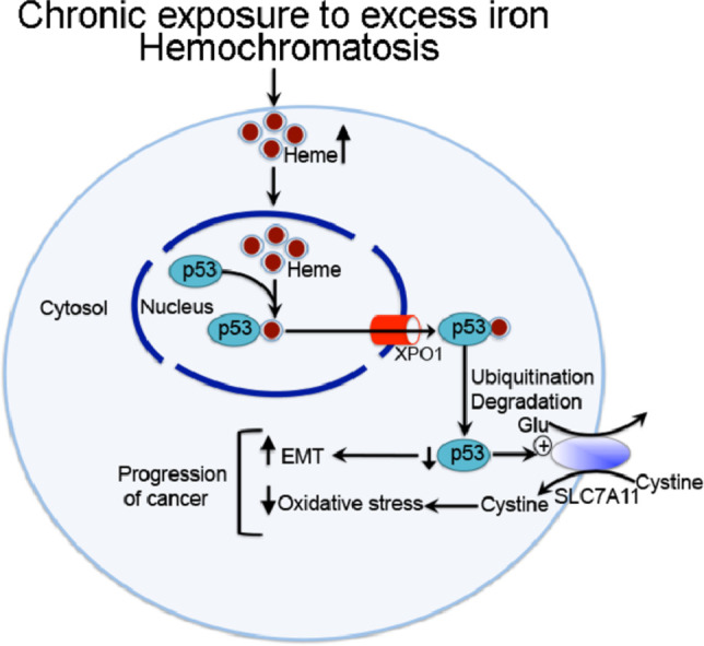 Image, graphical abstract