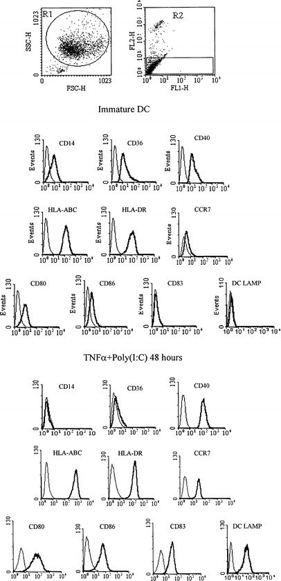 Fig. 1.