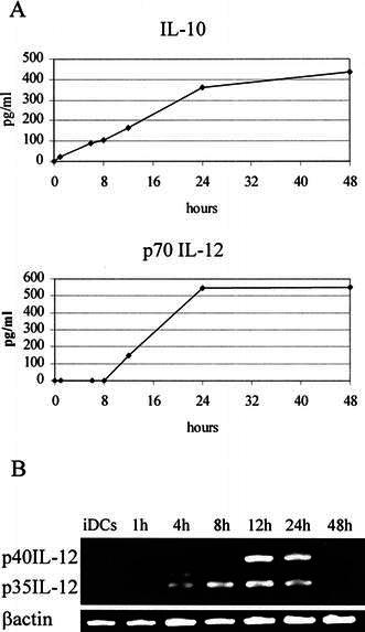 Fig. 3.