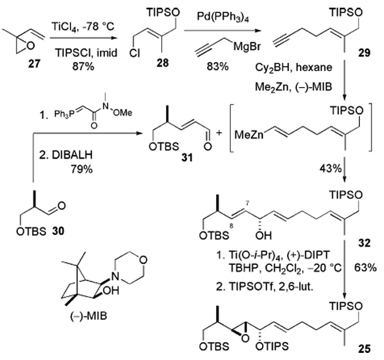 Scheme 6