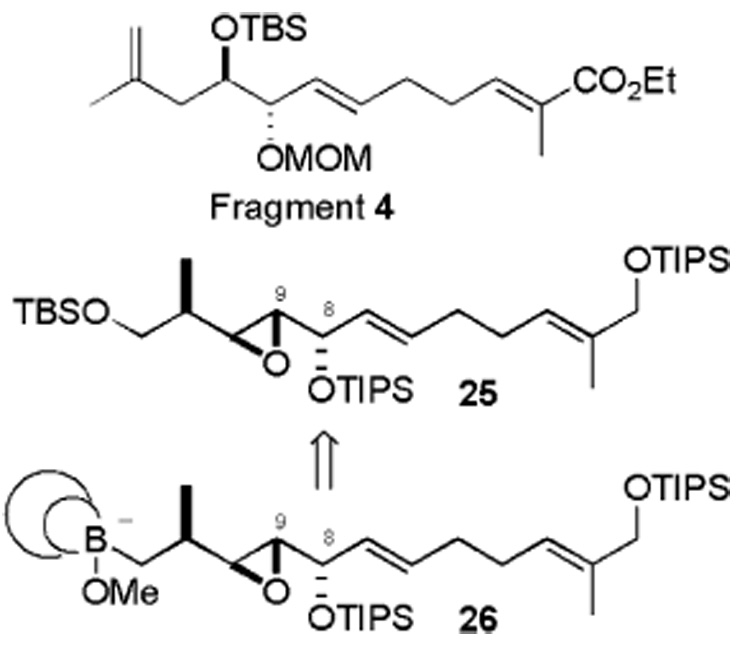 Scheme 5