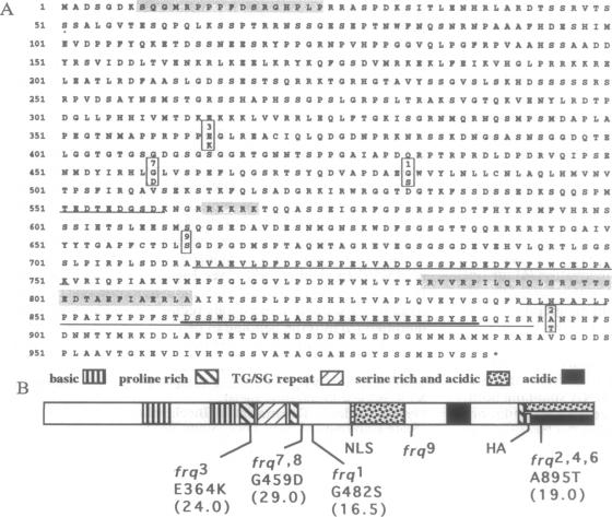 graphic file with name pnas01138-0313-a.jpg