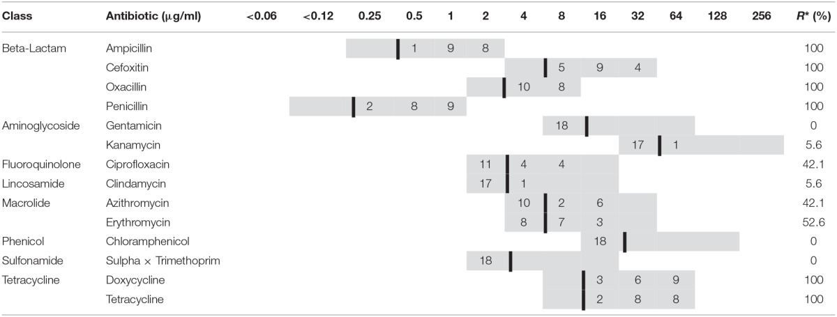 graphic file with name fmicb-07-02019-i0001.jpg