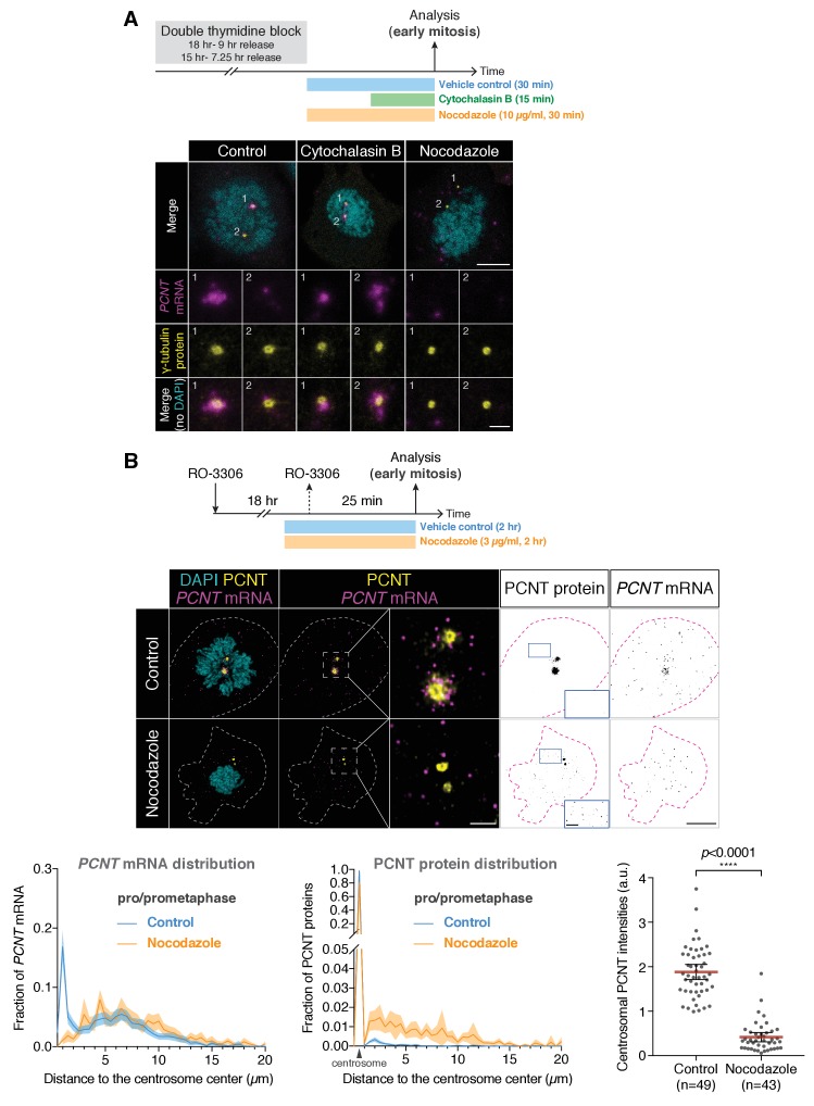 Figure 4—figure supplement 3.