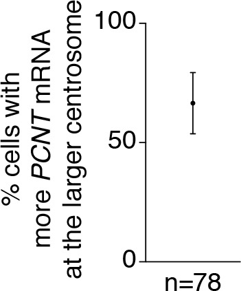 Figure 4—figure supplement 2.