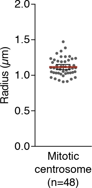 Figure 3—figure supplement 2.