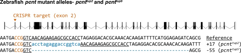 Figure 1—figure supplement 1.