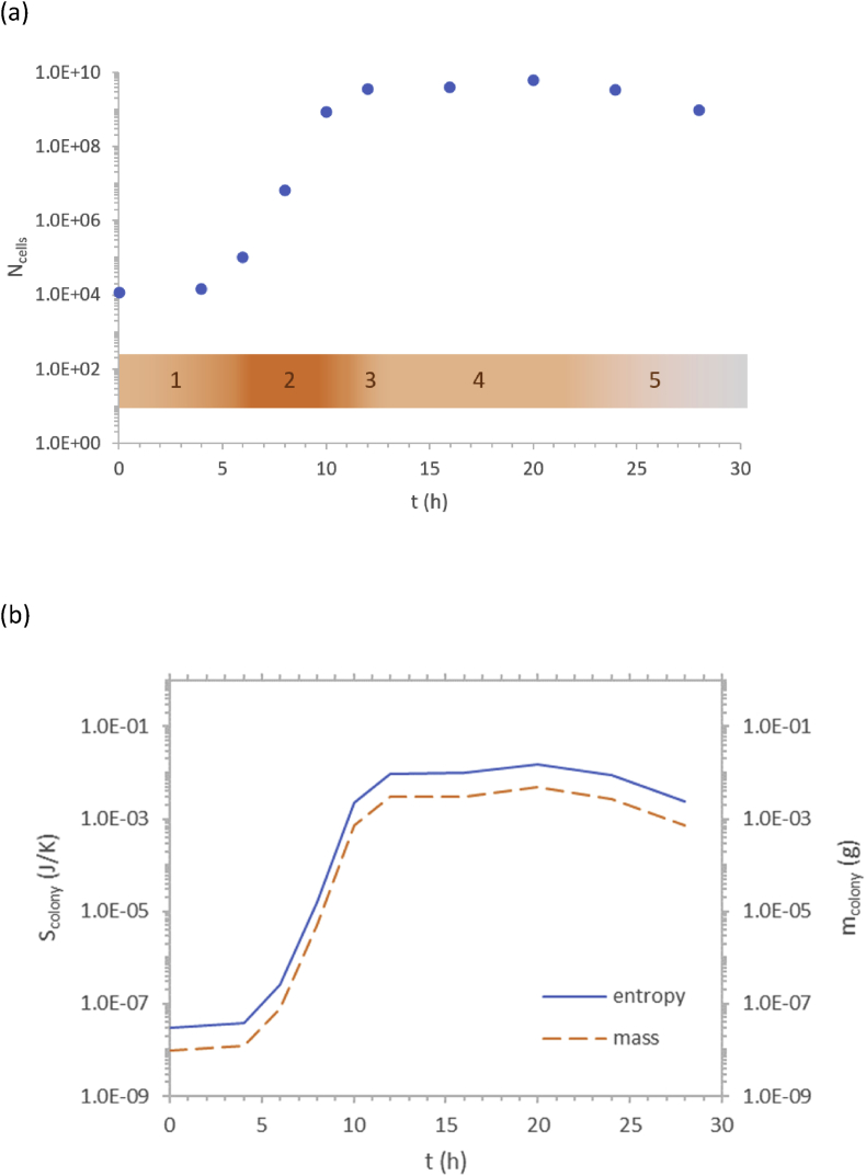 Fig. 2