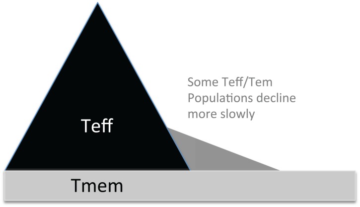 Fig. (1)