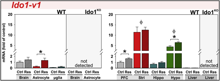 Fig. 4