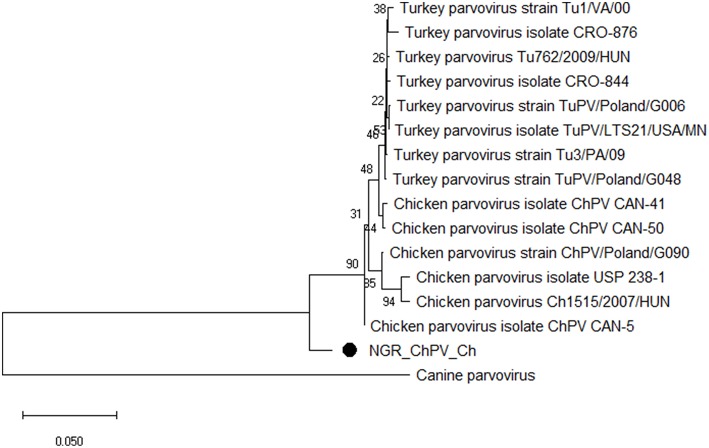 Figure 5