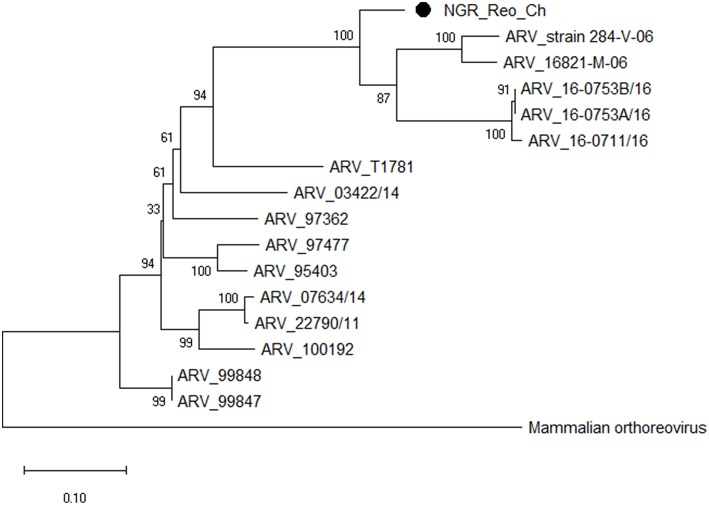 Figure 4