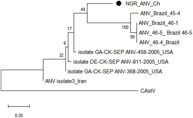 Figure 6