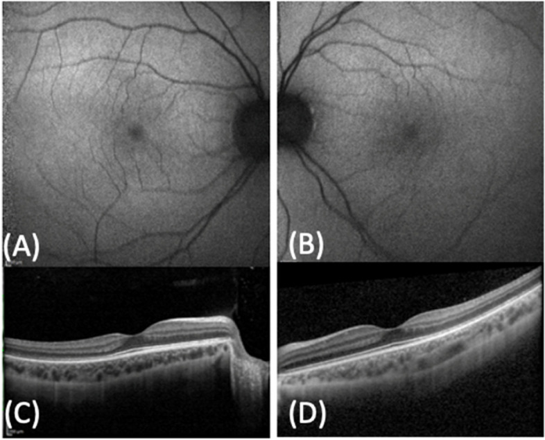 Fig. 5