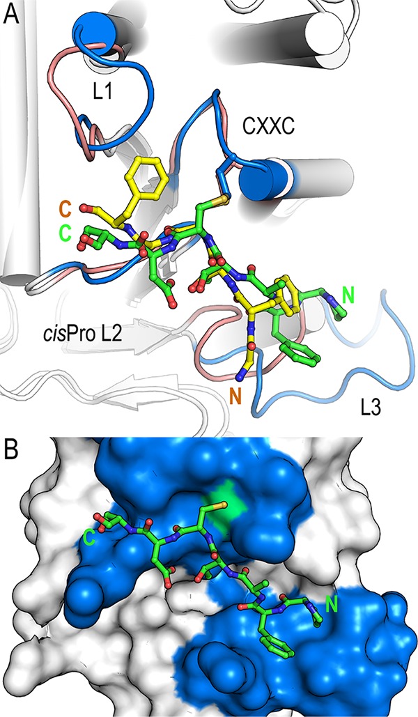 FIG 6