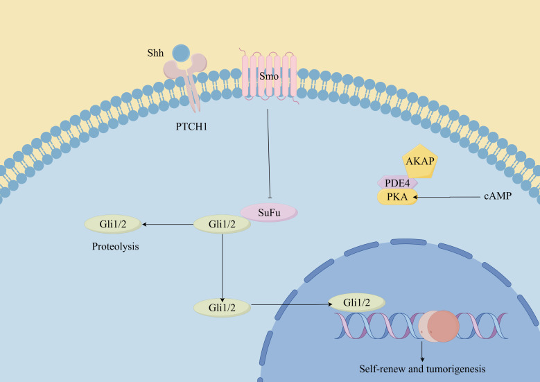 Figure 3