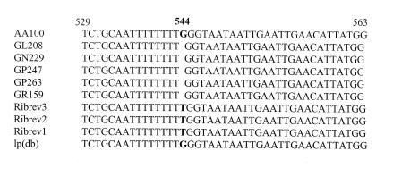 FIG. 5.