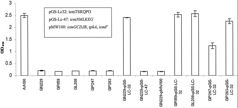 FIG. 2.