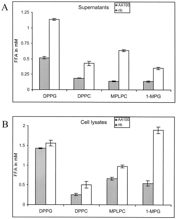 FIG. 1.