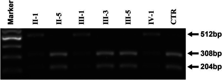 Fig. 3