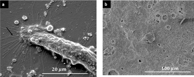 Fig. 9