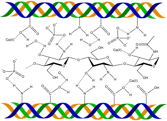 Fig. 10