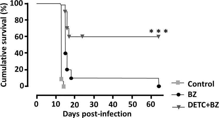 Figure 12