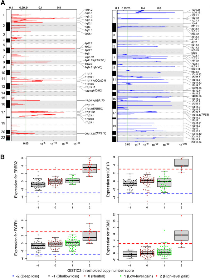 Figure 4. CNAs. A, Genomic regions of significant copy-number gain (left) and loss (right) identified by GISTIC2. Common oncogenes and tumor suppressor genes are in parentheses next to the corresponding cytobands. The green vertical line marks the GISTIC2 q value of 0.05 (bottom x-axis). B, Outlying gene expression and copy-number gain in four genes in 146 H/L breast tumor samples. Gene expression values on the y-axis are Z-scores estimated by robust standardization; the red dash line of Z-score = 3 and blue dash line of Z-score = −3 are cut-off values for outliers of overexpression and underexpression, respectively.