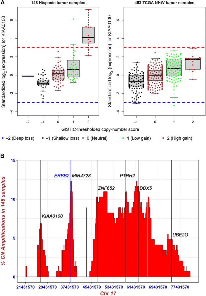 Figure 5. Expression outliers and copy-number gain in KIAA0100. A, Distribution of gene expression and GISTIC2-thresholded copy-number scores in KIAA0100 for 146 breast tumor samples from H/L and 452 breast tumor samples from TCGA non-Hispanic Whites. The y-axis is standardized gene expression values (Z-scores) estimated robustly based on the corrected MAD. Red and blue dashed lines represent Z-score of 3 and −3, respectively. B, Distribution of proportion of high-level copy-number gain for 950 genes spanning the six amplified regions of 17q11.2, 17q12, 17q21.33, 17q23.1, 17q23.3, and 17q25.1. y-axis is the percentage of the 146 H/L samples with GISTIC2-thresholded copy-number score of 2; x-axis is genomic boundaries (Chr17: 21431570 – 81188573, hg19) for the six significantly amplified regions determined by GISTIC2. The vertical lines mark the genomic locations of KIAA0100 (BCOX1, 17q11.2) at Chr17:26941457 – 26972177, ERBB2 (17q12) at Chr17: 37844336 – 37873910, MIR4728 (microRNA 4728, 17q12) at Chr17: 37882747 – 37882814, ZNF652 (17q21.33) at Chr17: 47366567 – 47439476, PTRH2 (17q23.1) at Chr17: 57774666 – 57784959, DDX5 (17q23.3) at Chr17: 62494371 – 62503156, and UBE2O (17q25.1) at Chr17: 74385612 – 74449288.