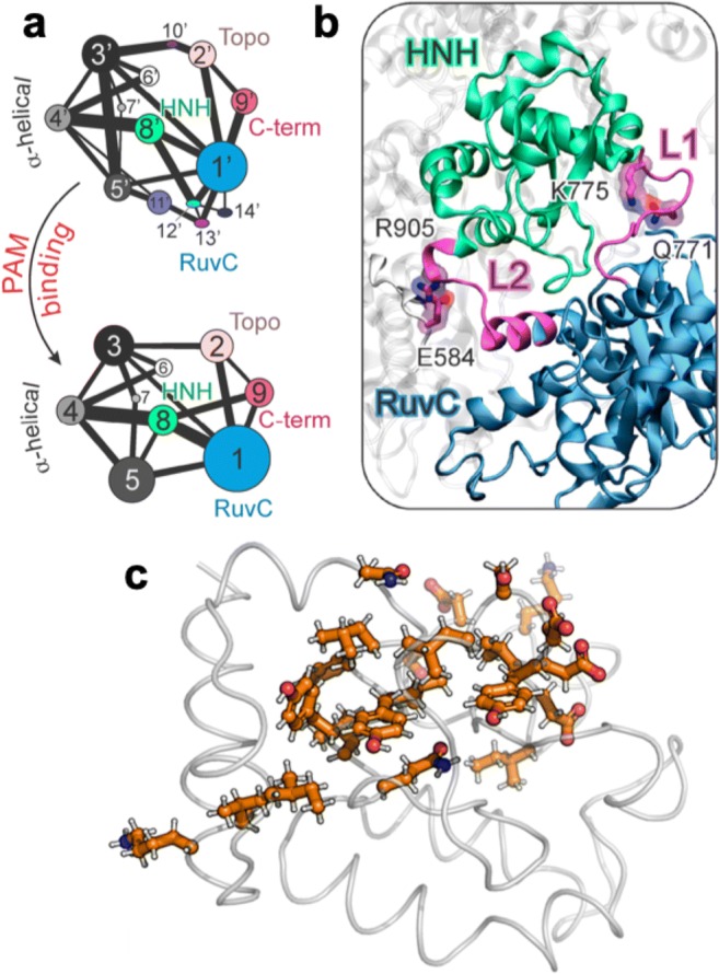 Fig. 9